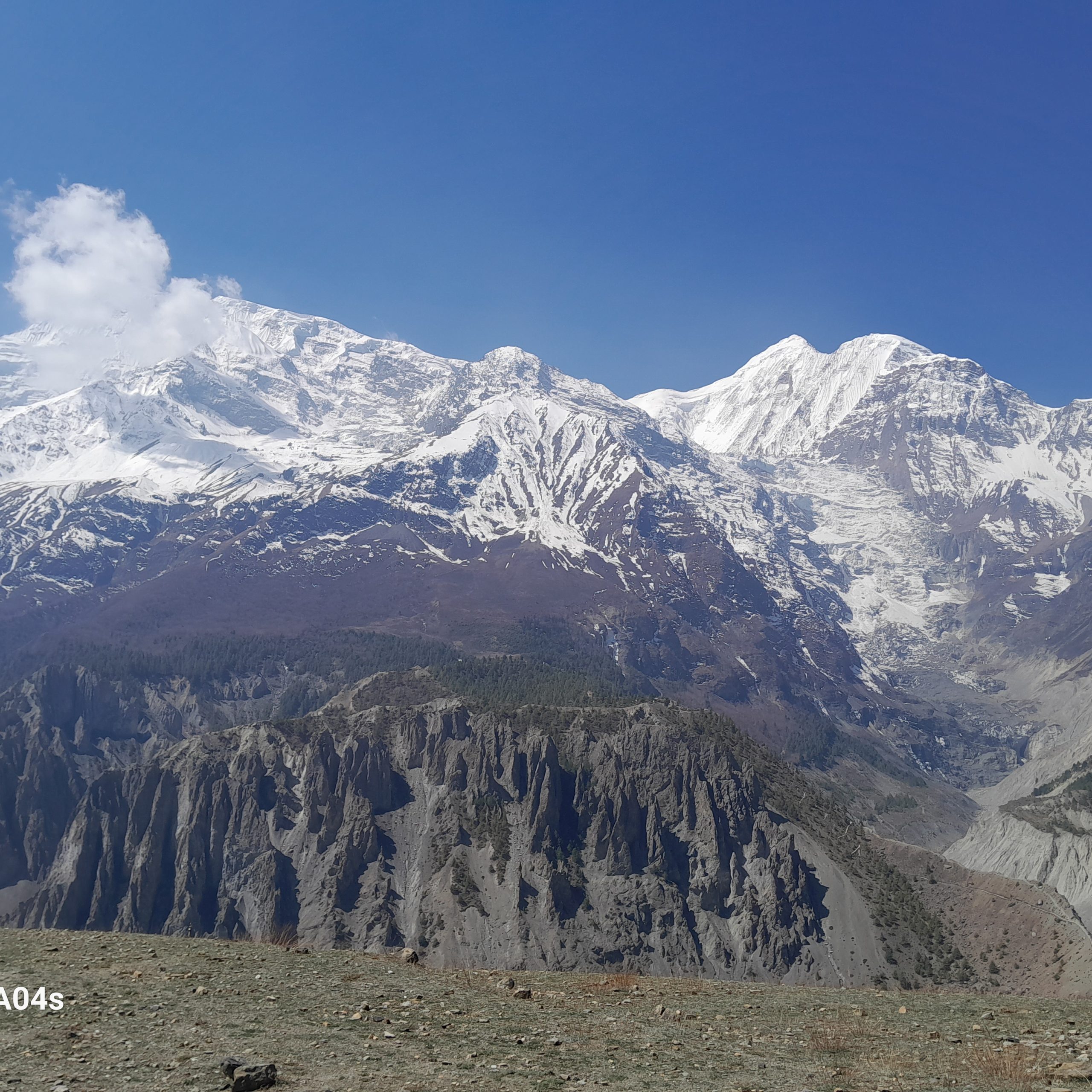 Himalayahub