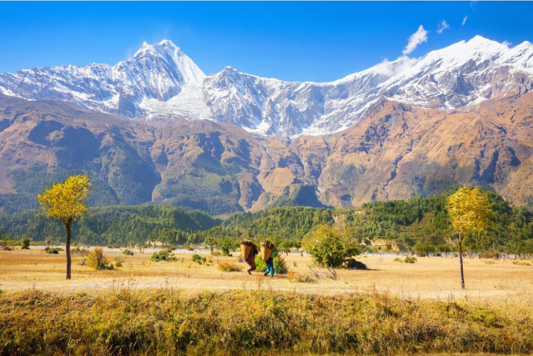 Himalayahub